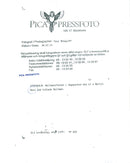 Martin Best musician in Hagaparken - Vintage Photograph