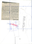 Martin Best Musician - Vintage Photograph