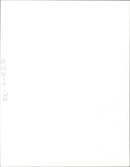 Rosie Barnes Politician. - Vintage Photograph