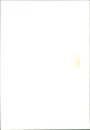 Rosie Barnes Politician. - Vintage Photograph