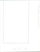 Rosie Barnes Politician. - Vintage Photograph