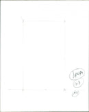 Rosie Barnes Politician. - Vintage Photograph