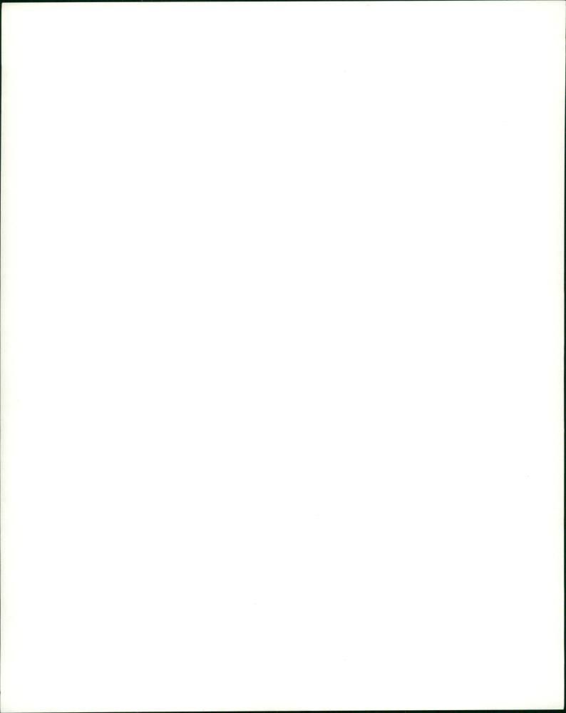 Michael Jackson Concert - Vintage Photograph