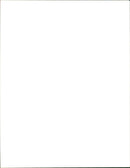 Rosie Barnes Politician. - Vintage Photograph