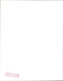 Sheep - Vintage Photograph