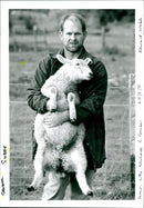 Sheep - Vintage Photograph