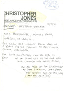 Sheep - Vintage Photograph