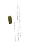 Sheep - Vintage Photograph