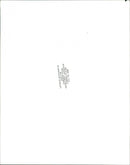 Sheep - Vintage Photograph