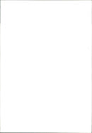 Sheep - Vintage Photograph