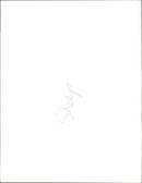 Sheep - Vintage Photograph