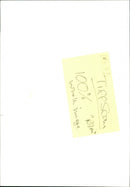 Sheep - Vintage Photograph