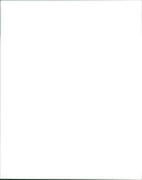 Sheep - Vintage Photograph