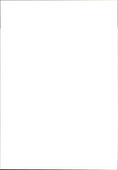 Sheep - Vintage Photograph