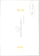 Sheep - Vintage Photograph