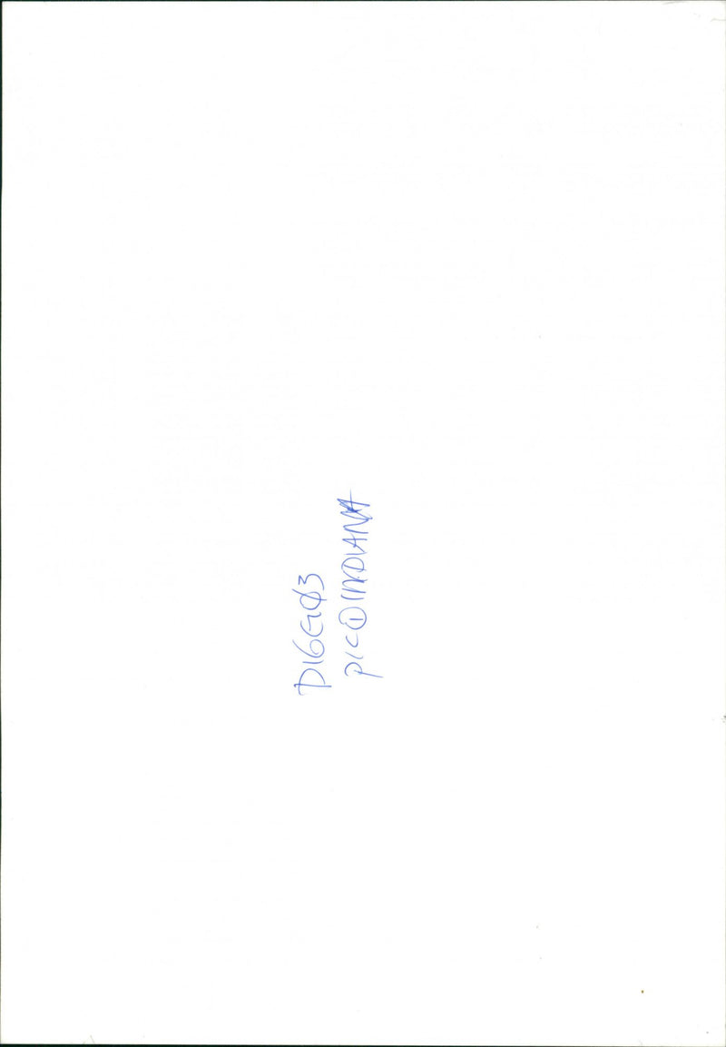 Gary Indiana, Writer & Art Critic. - Vintage Photograph