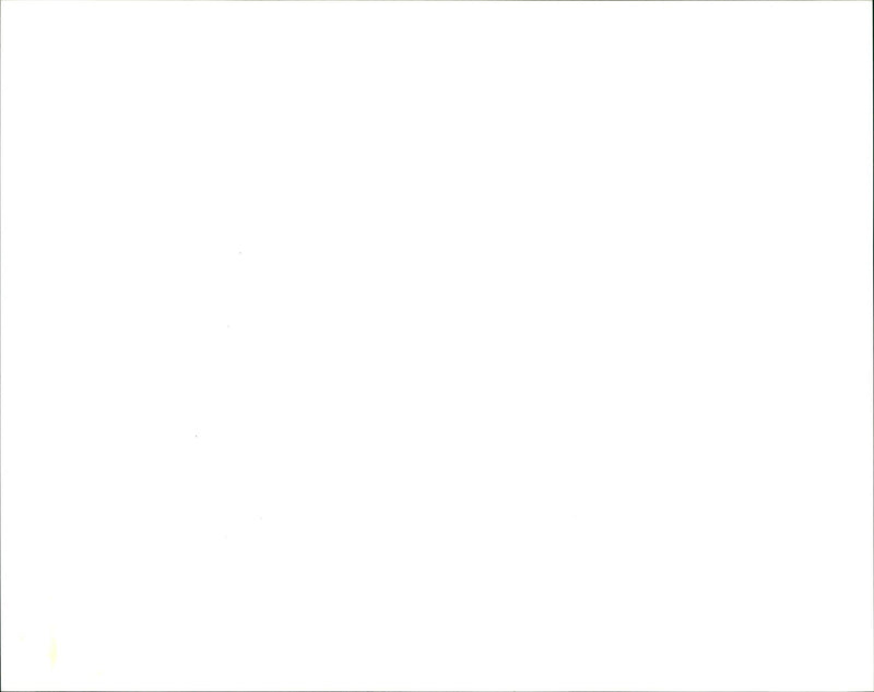 Blur - Vintage Photograph