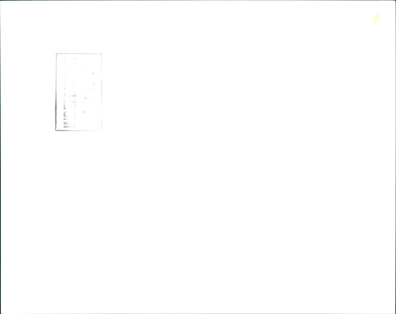 Blur - Vintage Photograph