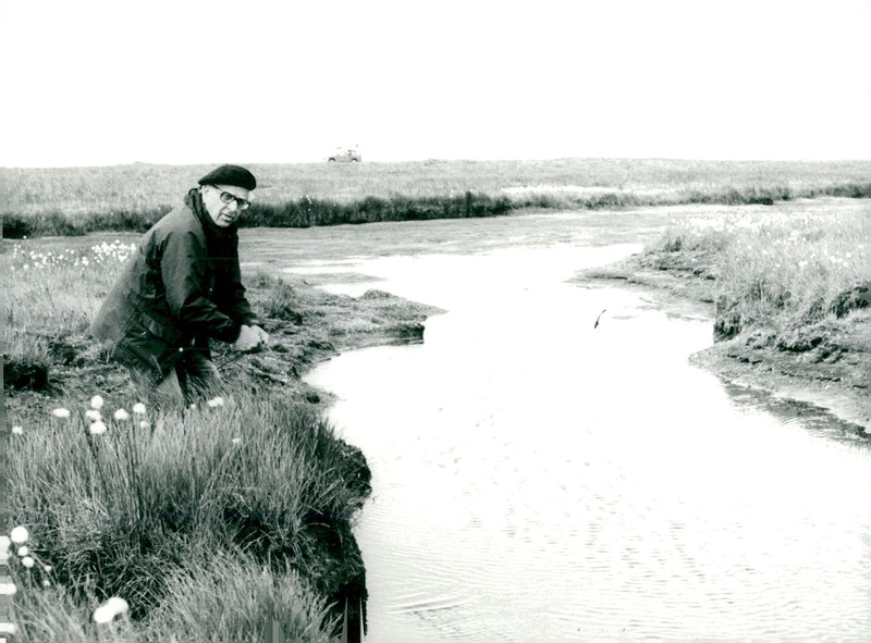 Nils Dahlbeck in the TV program "In nature with Nils Dahlbeck" - Vintage Photograph