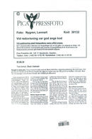 Black Sabbath, pop group - Vintage Photograph