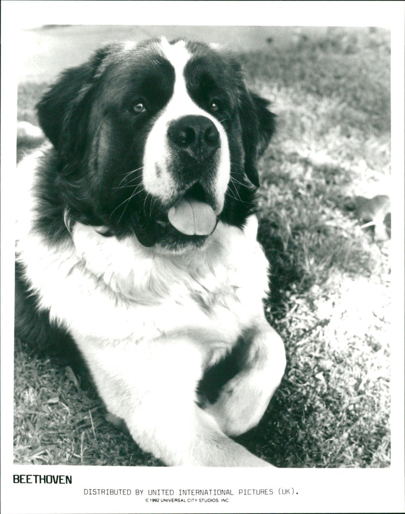 Beethoven film - Vintage Photograph