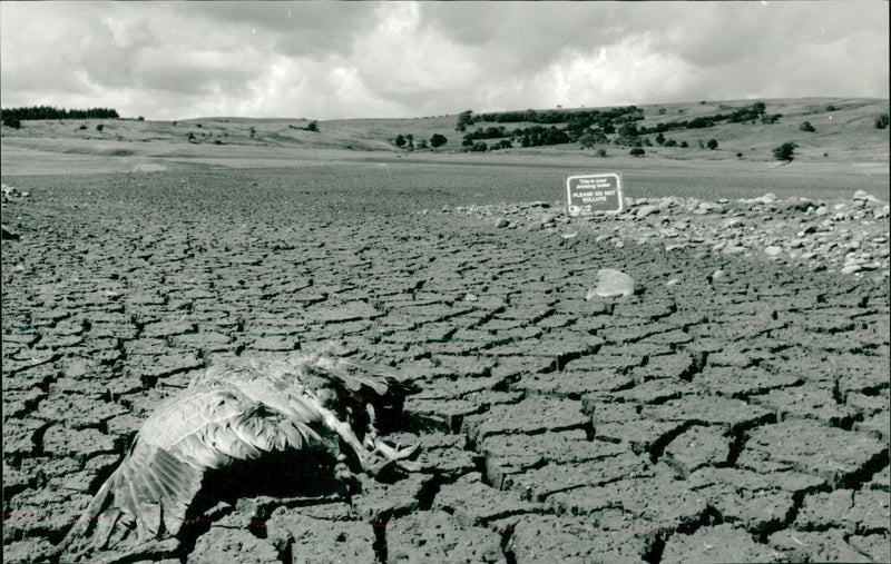 Stocks Reservoir, 
Reservoir in England - Vintage Photograph