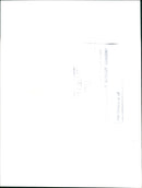 Swans - Vintage Photograph