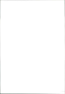 Swans at Seagalls - Vintage Photograph