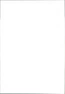 Swans - Vintage Photograph