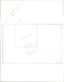 Swans - Vintage Photograph