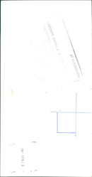 Swans - Vintage Photograph