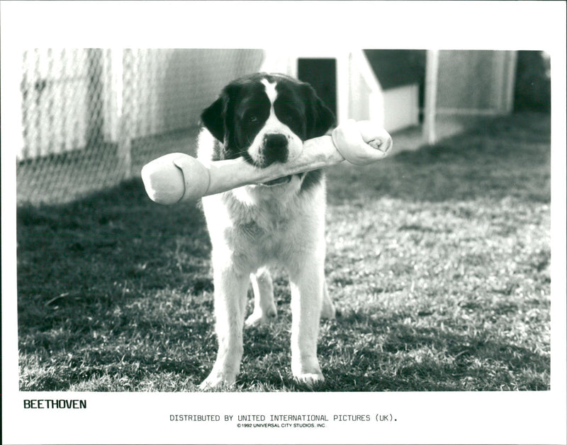 Beethoven film - Vintage Photograph