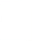 The Bear - Vintage Photograph