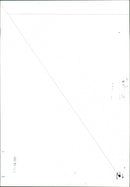 Swans - Vintage Photograph