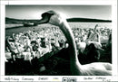 Swans - Vintage Photograph