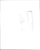 Swans - Vintage Photograph