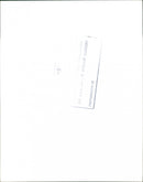 Swans - Vintage Photograph