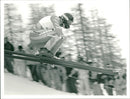 Pirmin Zurbriggen, A skier - Vintage Photograph