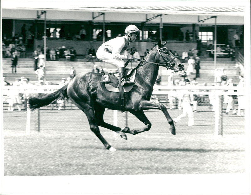 Pat Eddery, Irish jockey - Vintage Photograph