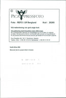 1994 MANDELA INSTALLED PRESIDENT PEOPLE CELEBRATE BERGLUND SWEDEN MUSIC - Vintage Photograph