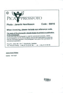 Jayne Anne Phillips - Vintage Photograph