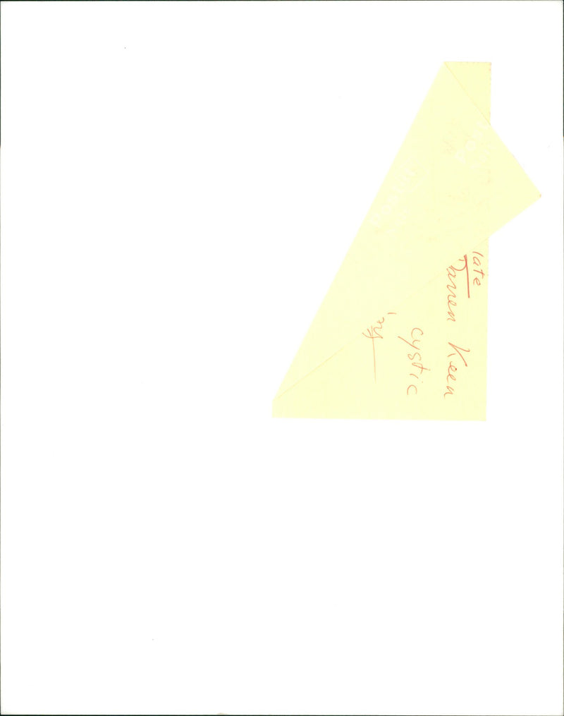 Darren Keen Musical artist. - Vintage Photograph