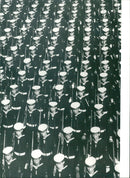 China, defense: airplane, navy, rocket and robot defense - Vintage Photograph