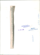 India, art, theater, literature, music - Vintage Photograph