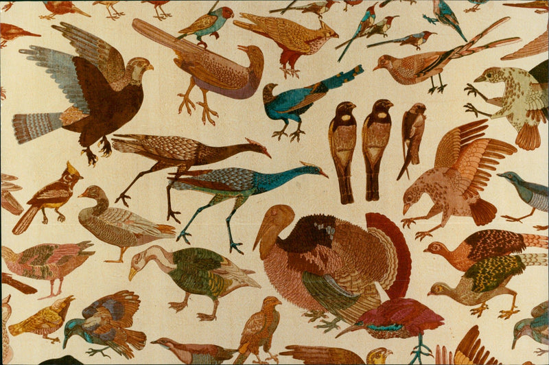 India, art, theater, literature, music - Vintage Photograph